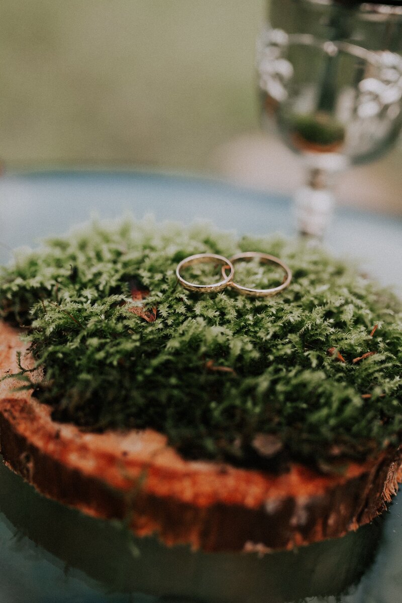 elisey-vavulin-_LKQQaV-9k4-unsplash