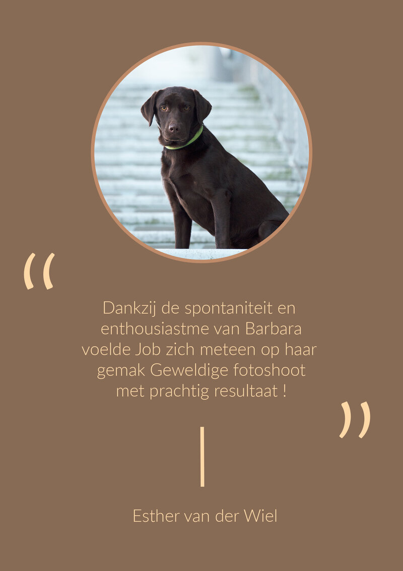 Review ESTHER