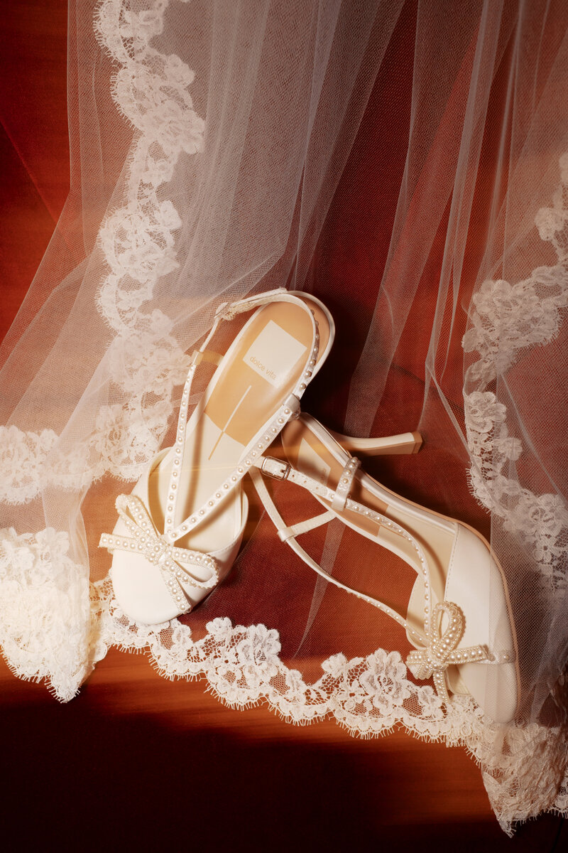 New-York-City-Wedding-Photographer-Bri-Nicole-Photo-Co-1