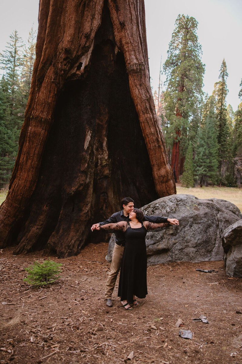 Sequoia National Park Engagement Photographer3523
