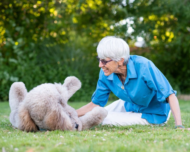 Dog playing with owner