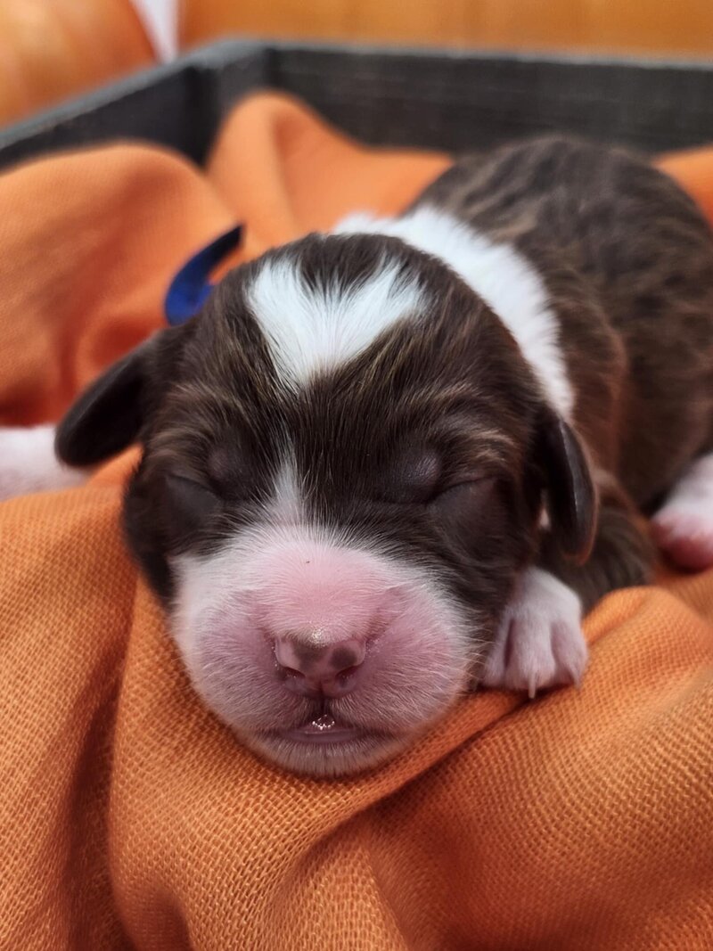 d74adfb9-88f8-4c75-8c2f-7c221daf5ea7