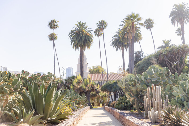 Beverly-Hills-Mini-Session-Cactus-Garden-1