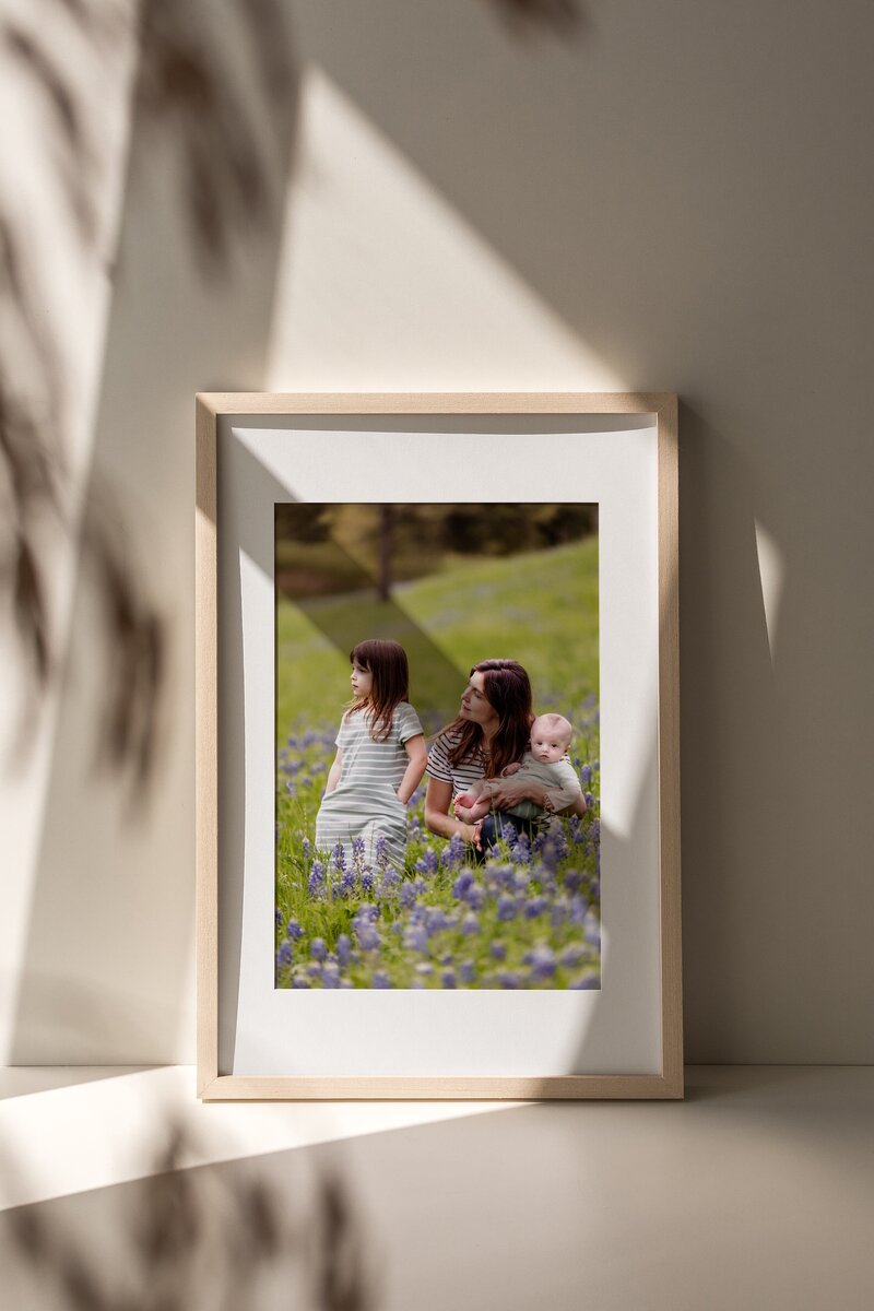 a framed family picture took in a bluebonnet field