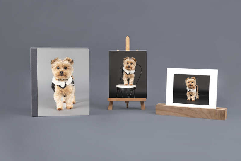 Lily FolioBox22 with white frame