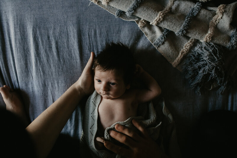 rex newborn37