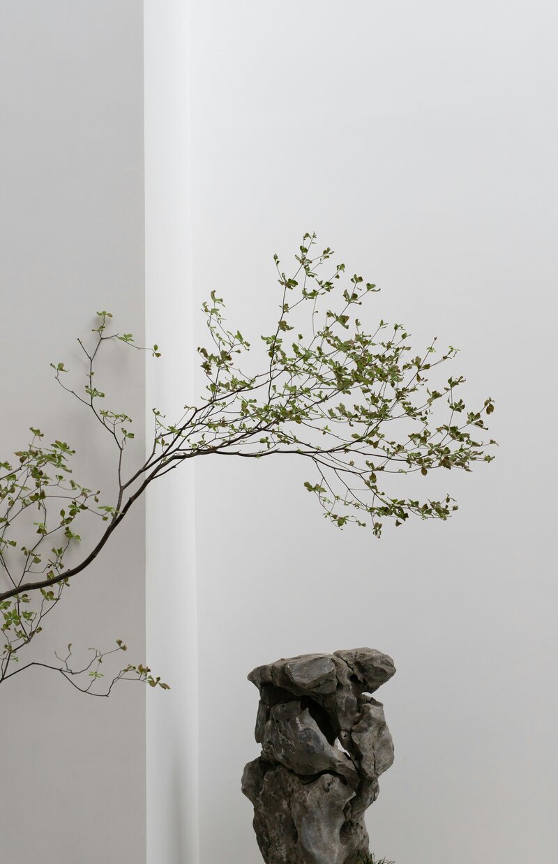 dong-cheng-2MJv4AR-dFI-unsplash