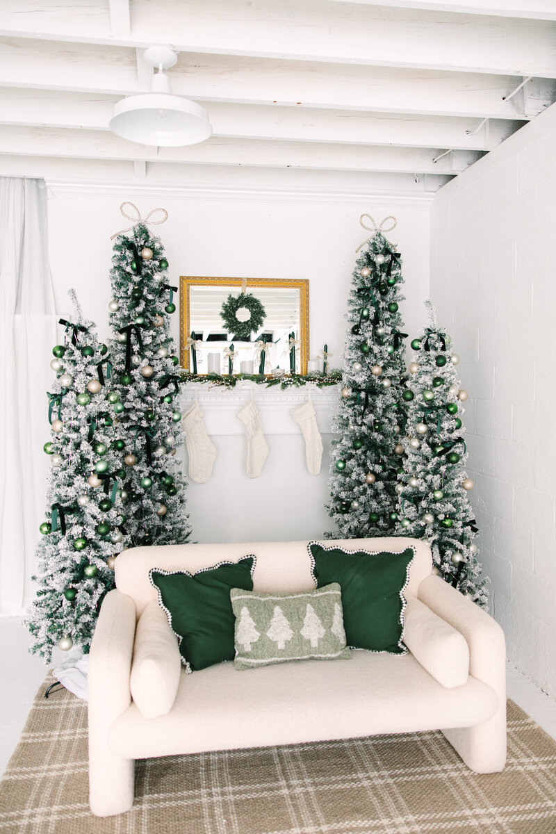 AC_Goodman_Photo_ChristmasMini25_Promo-15