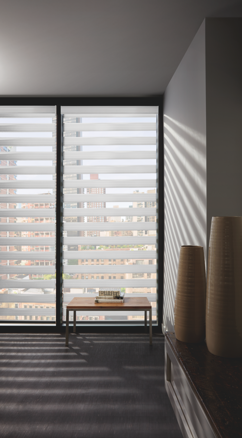 Living space window blinds