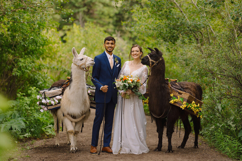 Estes Park Wedding Photographer Denver Wedding Venue Planner Della Terra Mountain Top Fall Colorful Wedding Liz Osban Photography Black Canyon Inn Wyoming Wedding Photographer Elopement Engagement 3