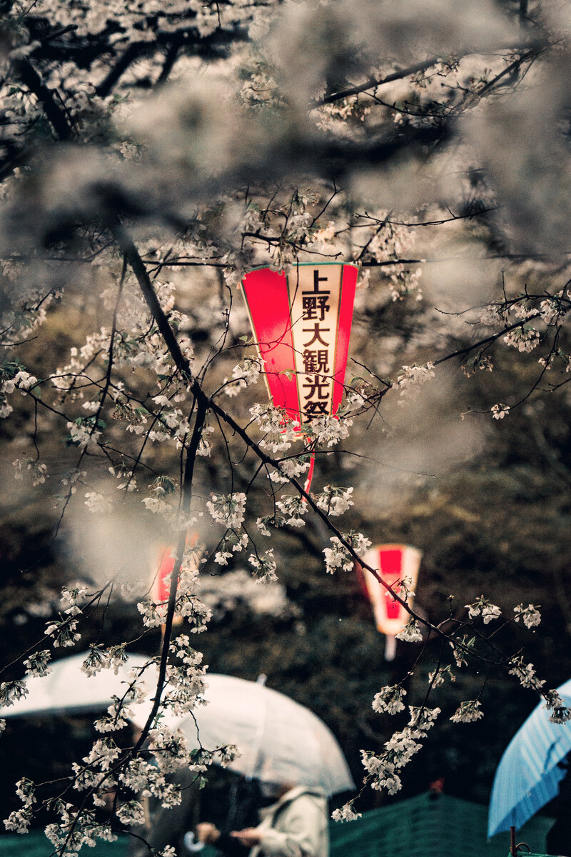 japan766