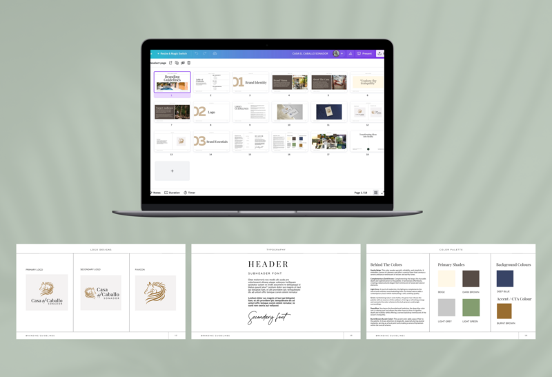 branding guideline sample