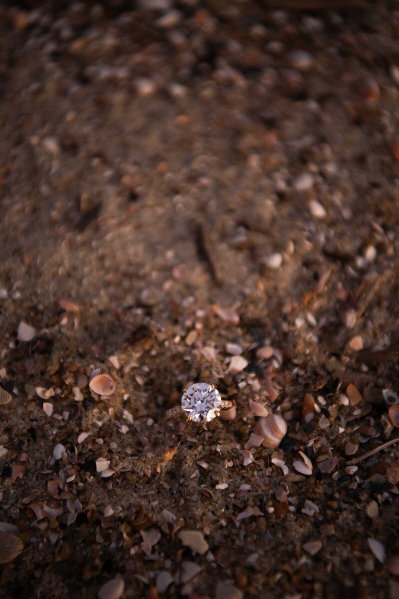 041_South Carolina Surprise Proposal Photographer_