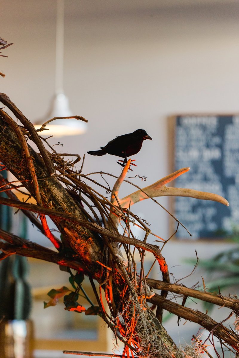 The-Grange-Community-Kitchen-Hamburg-NY-Halloween-Party-Buffalo-Bills-56