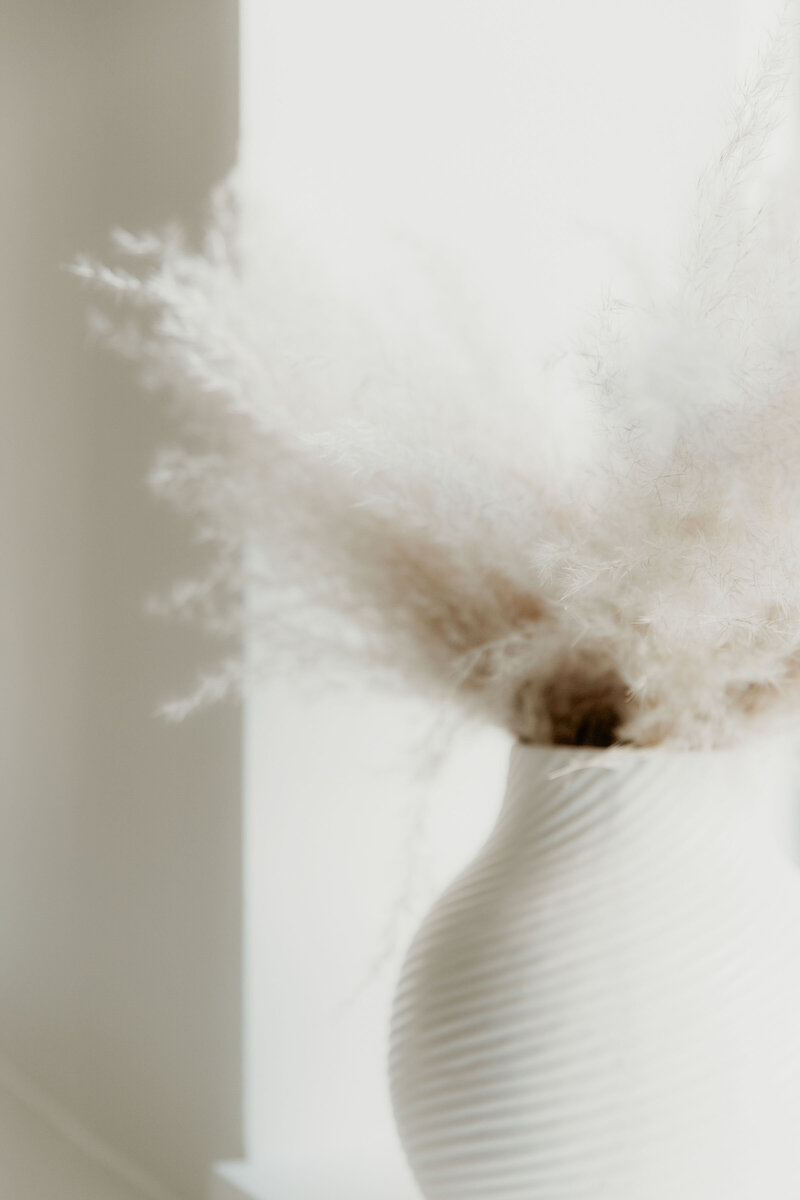 white wall, white textured vase with fluffy white pampas grass