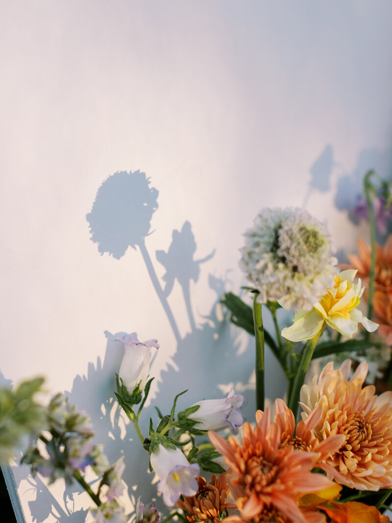 shadow of flowers on a welcome sign