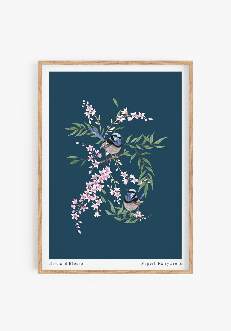 Single frame print fairywren