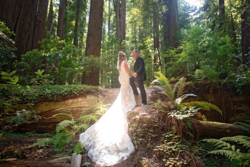 Magical engagement photo of a couple in the Redwoods in Northern California