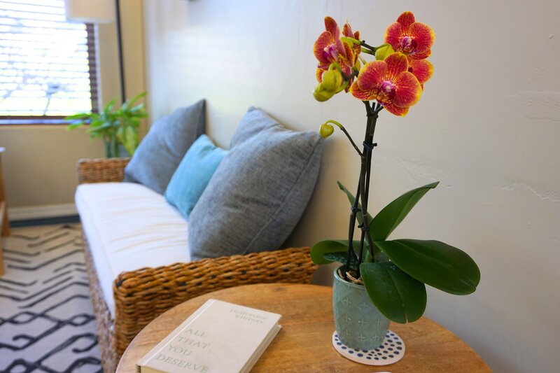 vibrant orchid on side table with a book at a therapist office