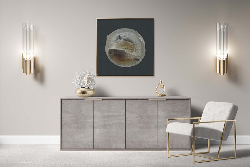 Fine Art Canvas with a gold frame featuring Project Stardust micrometeorite NMM 2365 for luxury interior design