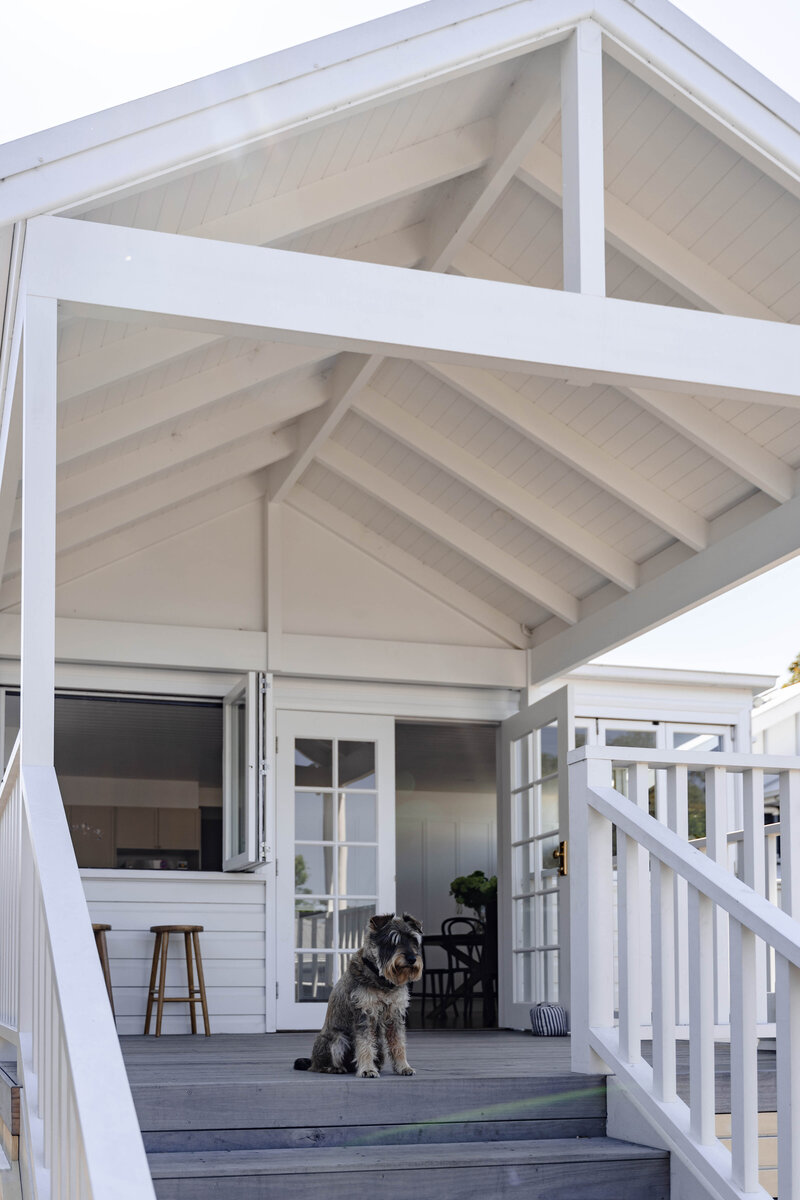 jesse-mccabe-renovation-exterior-deck-dog-mayfield-nsw