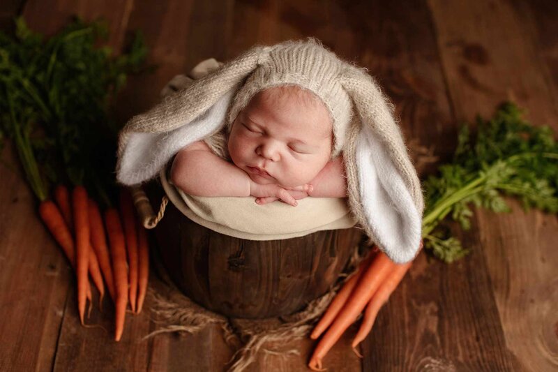 Artistic newborn portrait of baby dressed as rabbit surrounded by carrot props