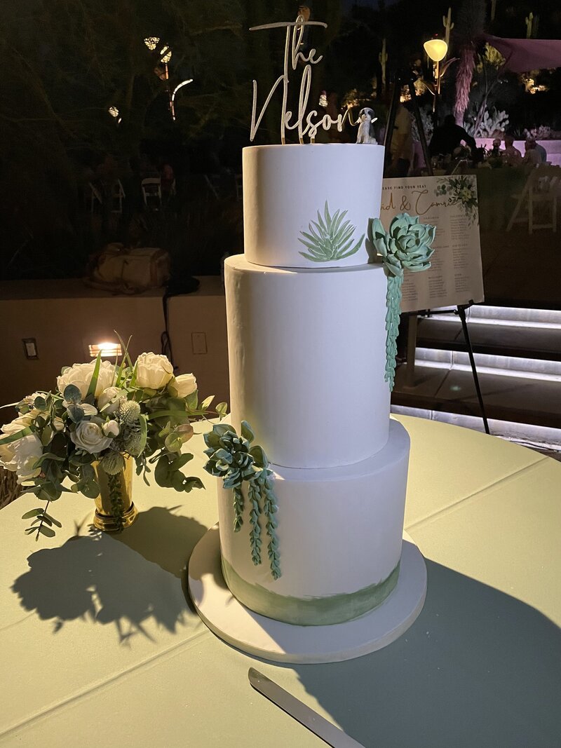 3 tier wedding cake with handpainted succulents on top tier and sugar succulents between the tiers