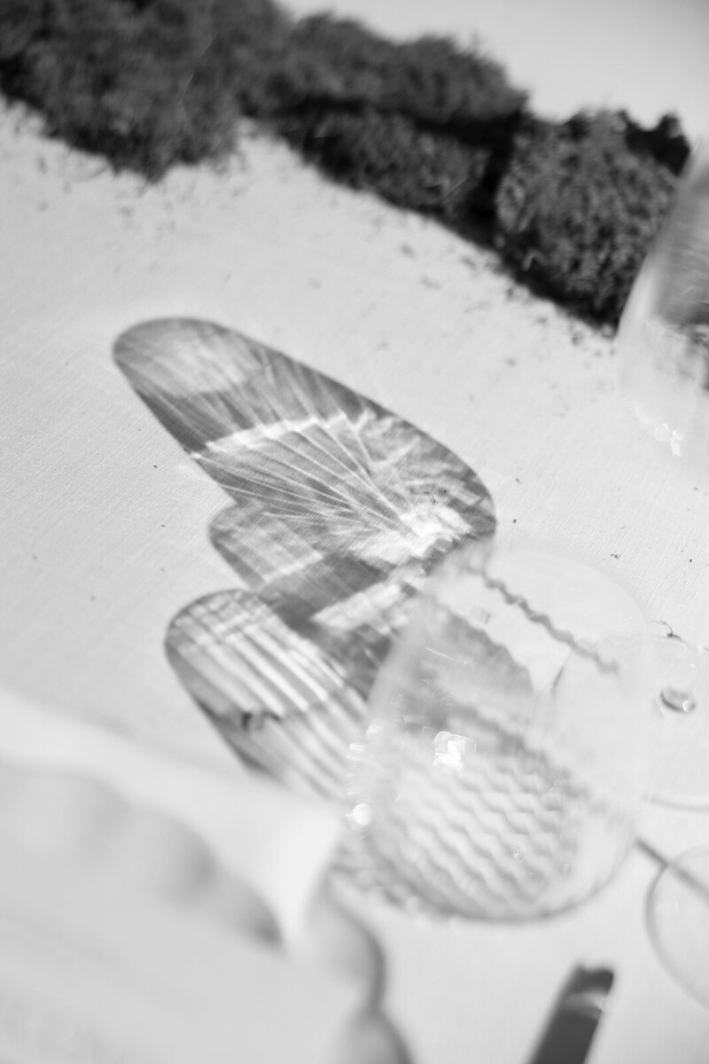 Monserate_Winery28