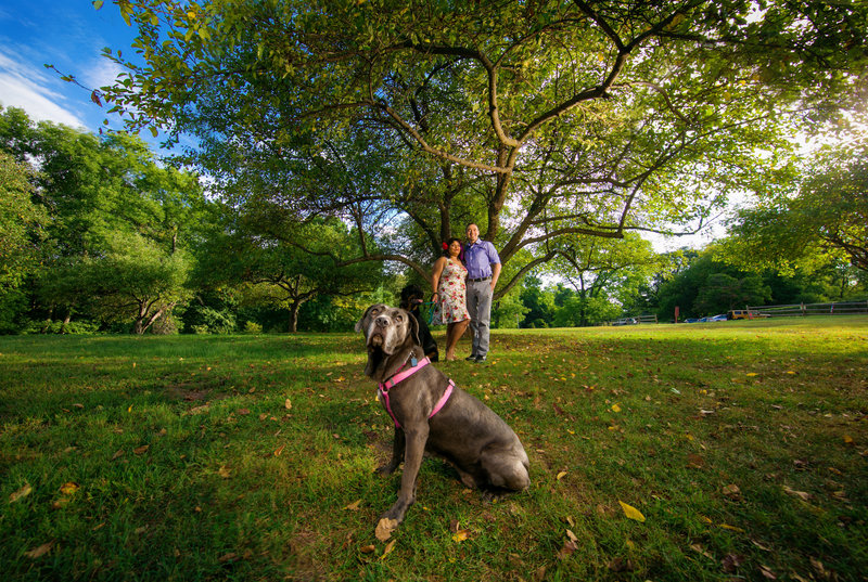 A large dog sits proudly as the center of attention while the family looks on fondly during an outdoor session near Phoenixville.
