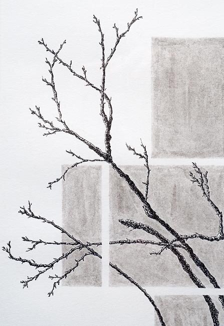 Pen and ink detail close up of apple tree branches