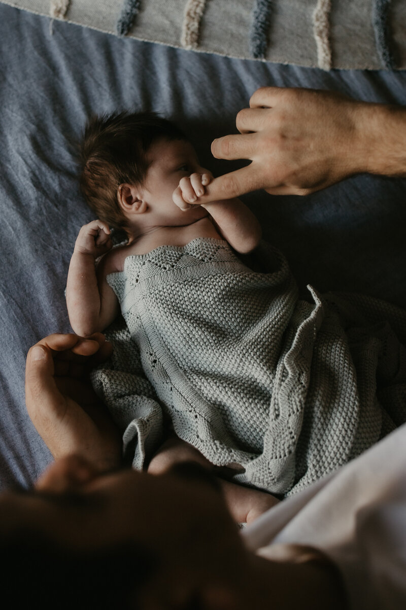 rex newborn54