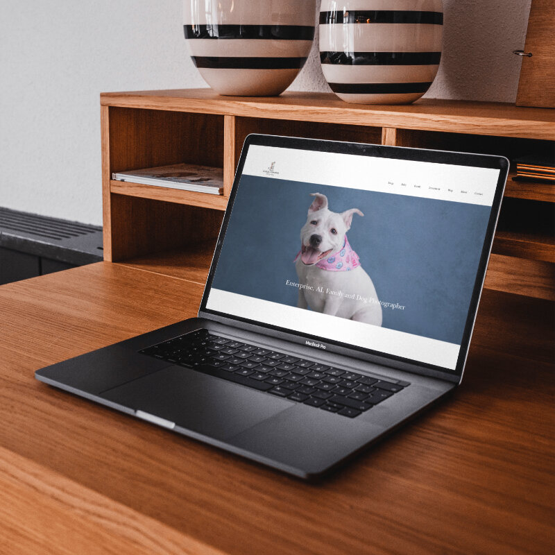 Custom ShowIt website mockup