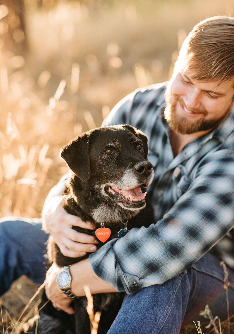 labrador with grey muzzle being hugged by man