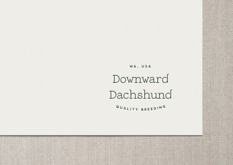 DD-logo-deboss