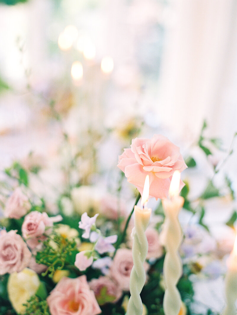 Lilley-Mansion-wedding_13