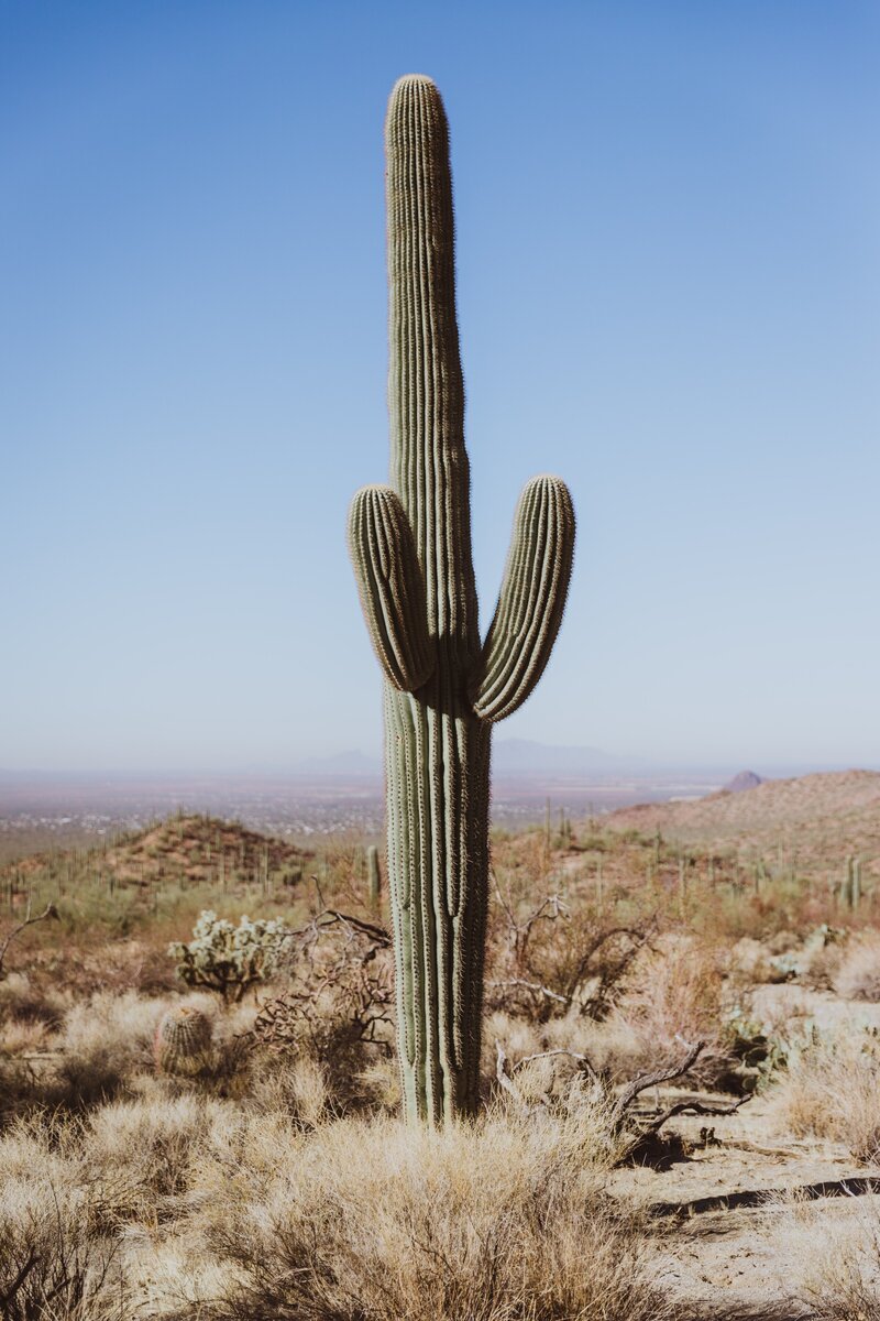 karl-magnuson-T2CJ4ZI7-hg-unsplash
