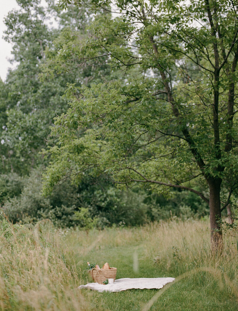 straw tote, linen blanket, meadow picnic on film, Michigan summer, film scent branding photo for Detroit Rose Smoked Tomato
