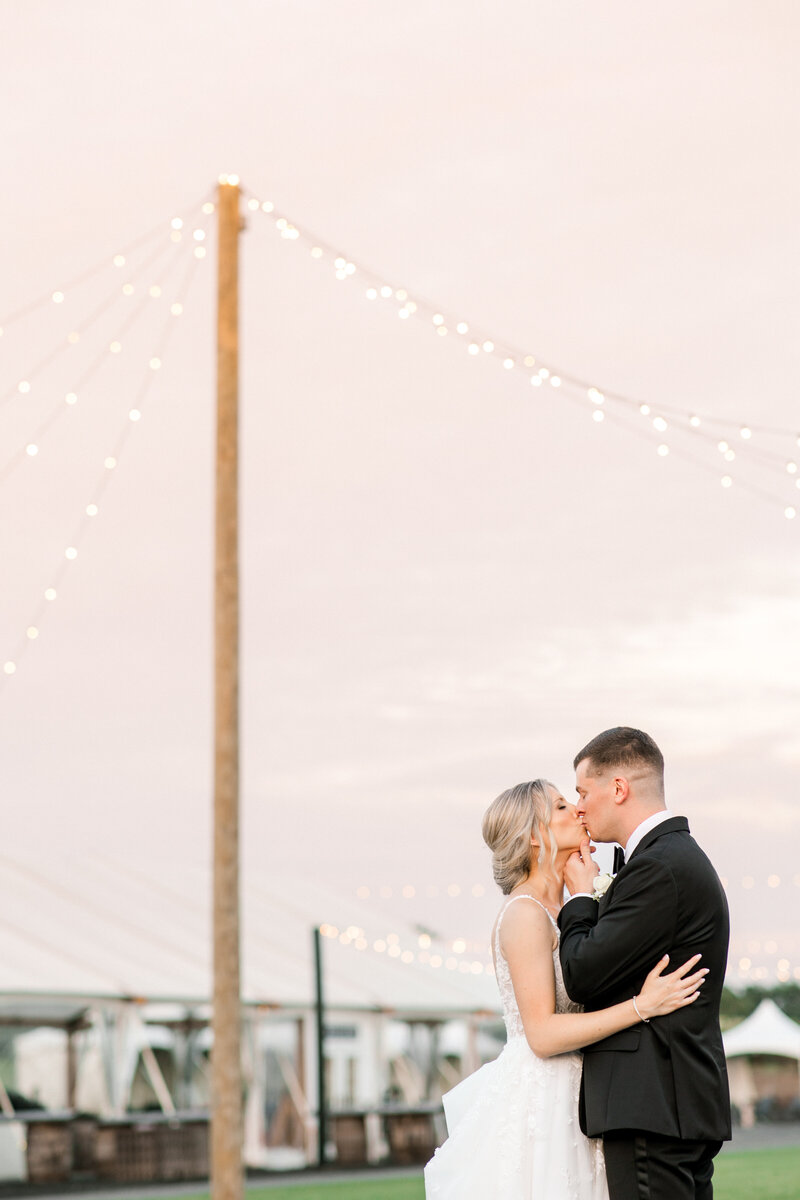Why black suits and blue dresses may not be the best color palette for weddings - Susan Elizabeth Photography Why black suits and blue dresses may not be the best color palette for weddings - Susan Elizabeth Photography