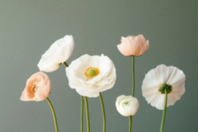 Grainy Floral Image