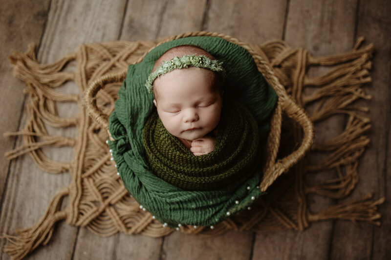 newborn pics