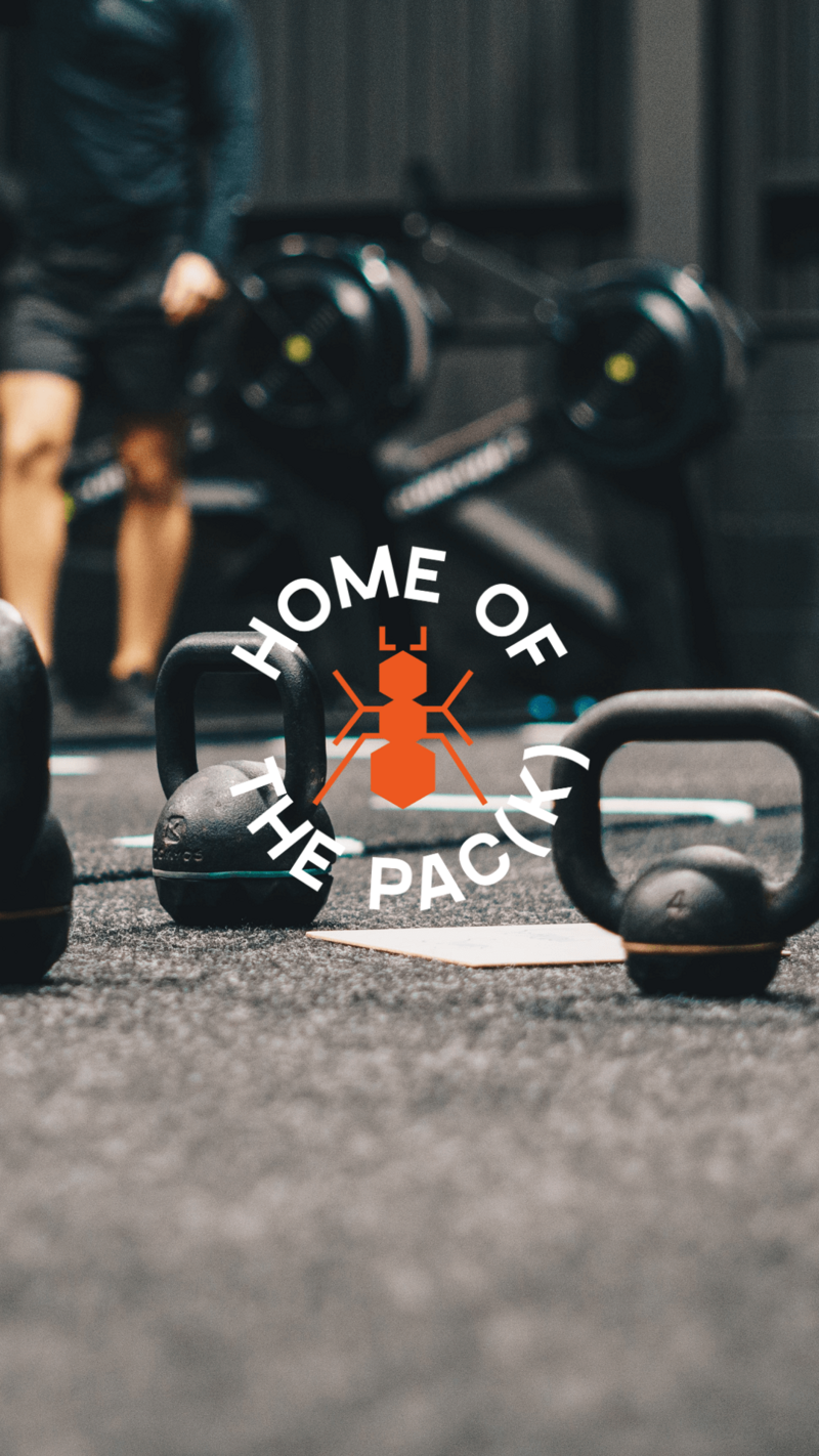 instagram content for gyms