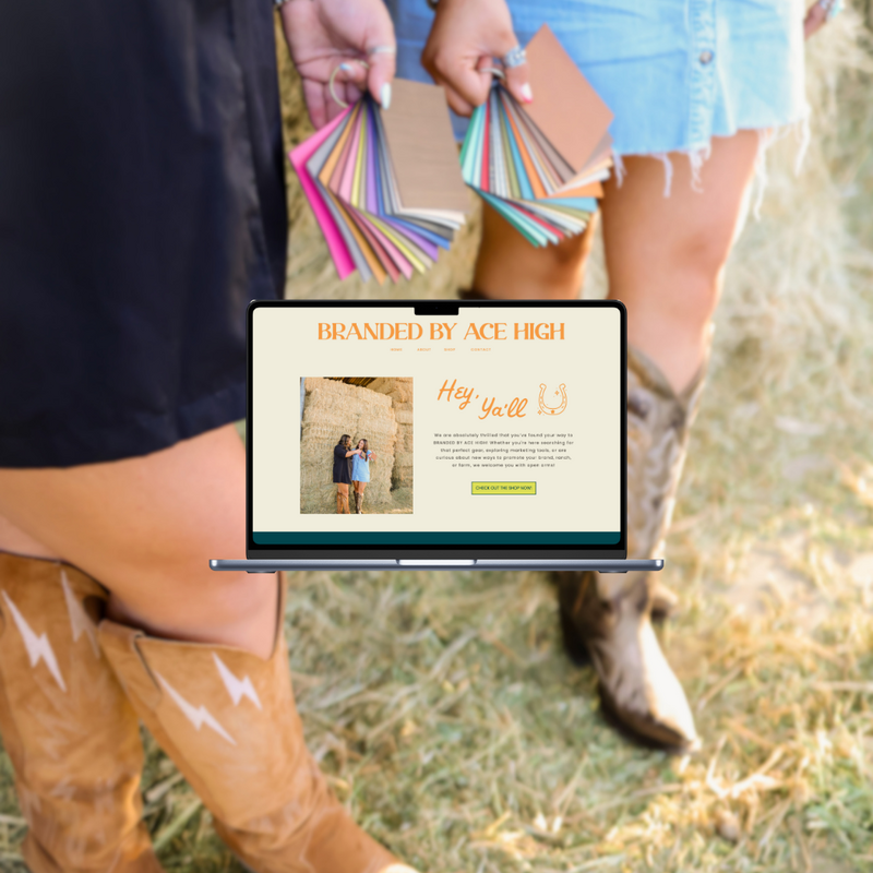 Discover Our Portfolio, Branded By Ace High