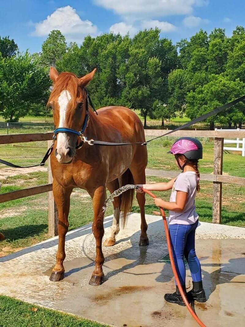 Horse riding birthday party in Boyd Texas
