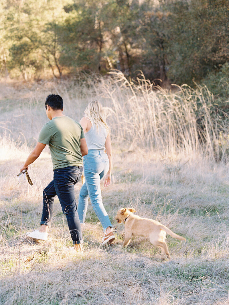 golden retriever puppy chasing their people as they walk away
