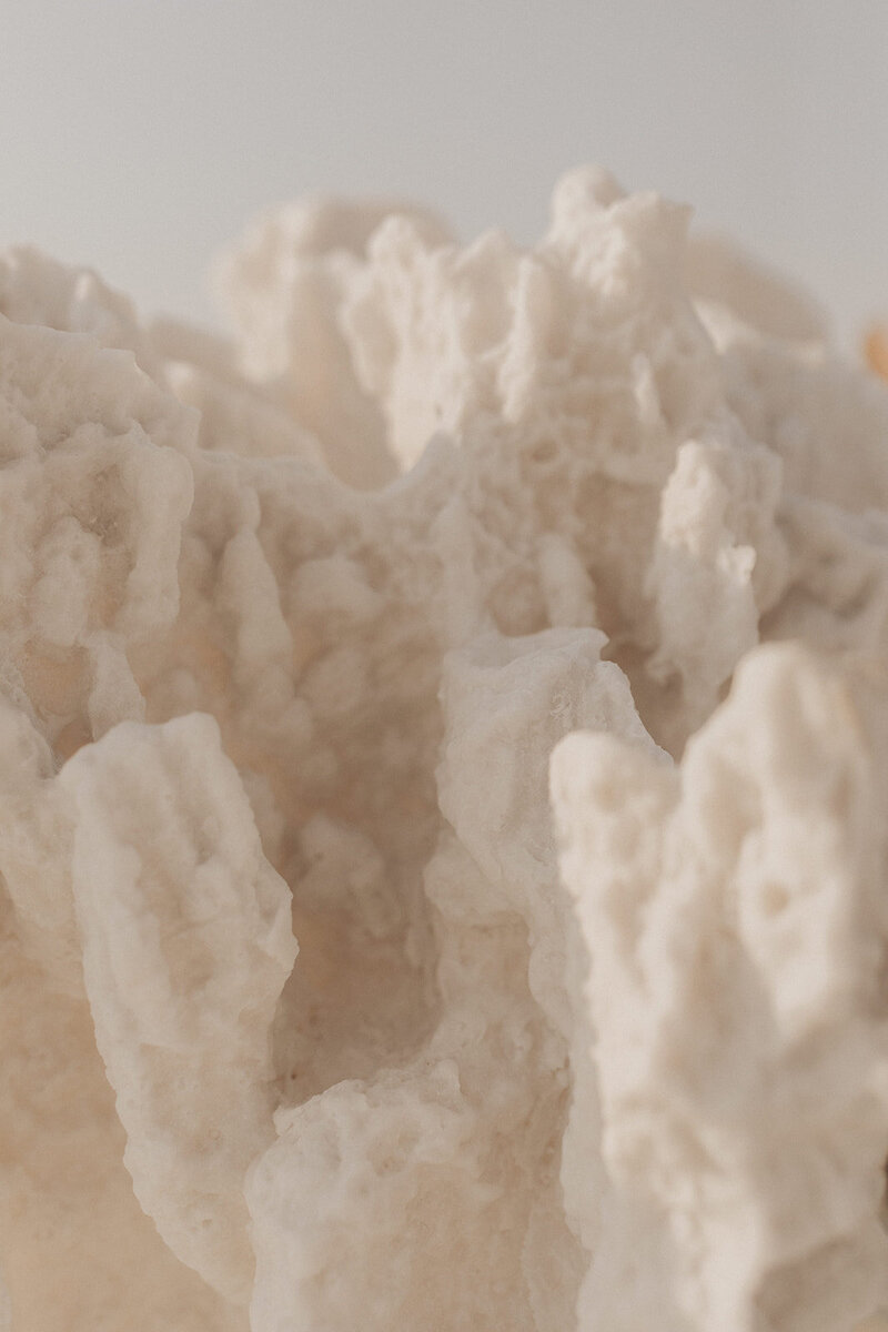 Close-up of intricate salt formations.