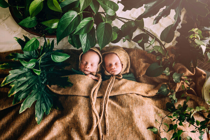 twin newborn  boys sleeping amongst plants