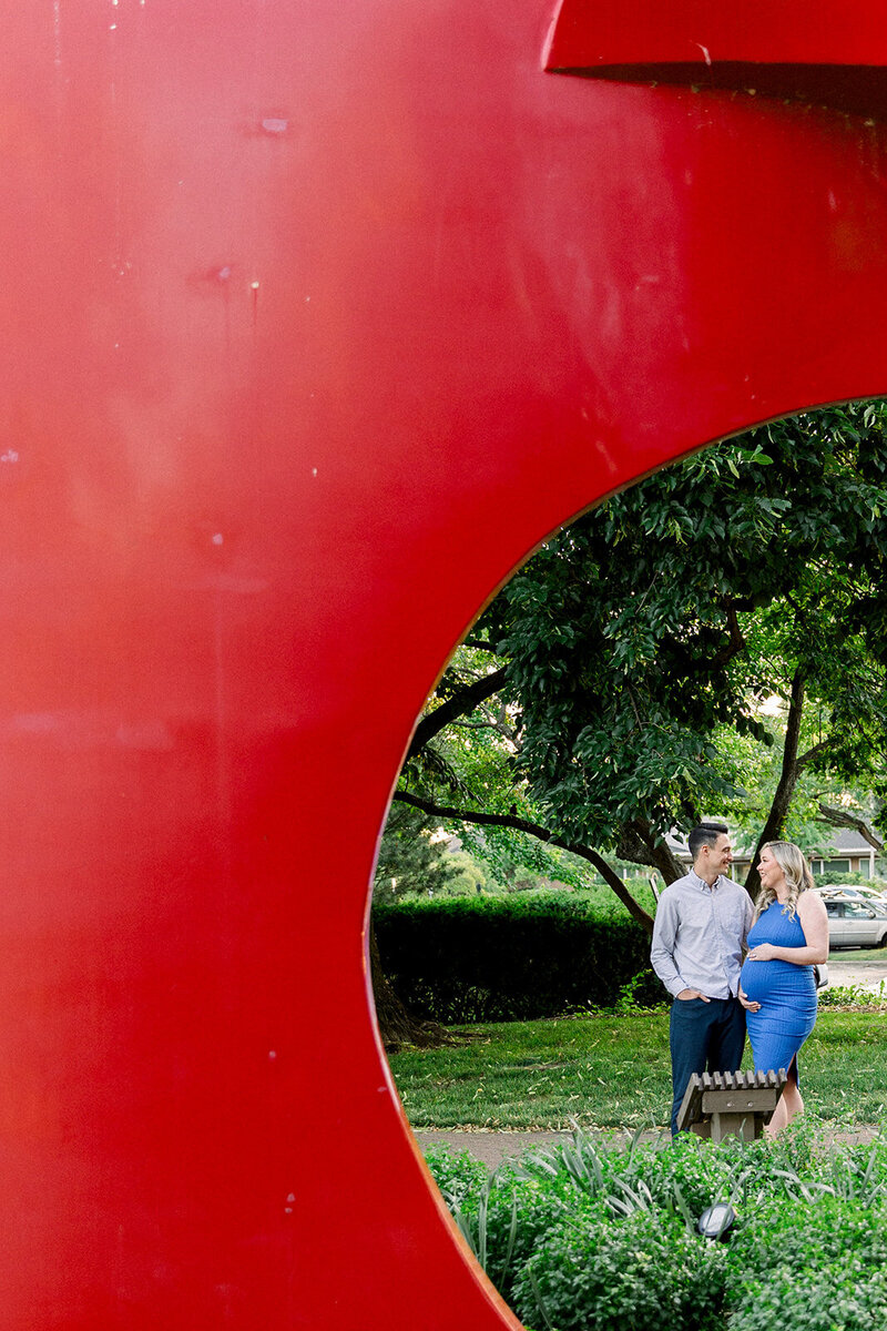 chicago family photographers
