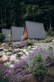 @folkfotos_NECTAR_20200622_0014