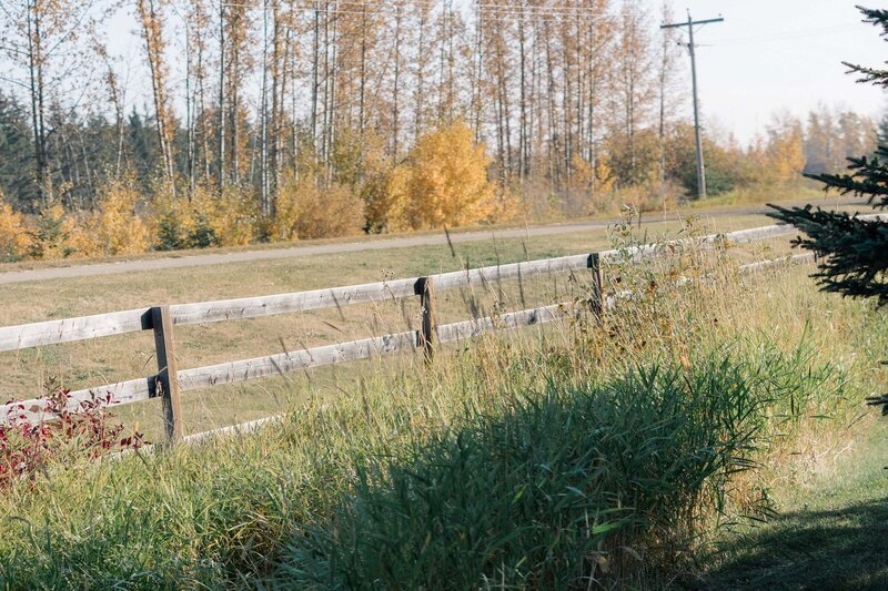 Edmonton Wedding Photos - Pine and Pond Wedding Venue (4)