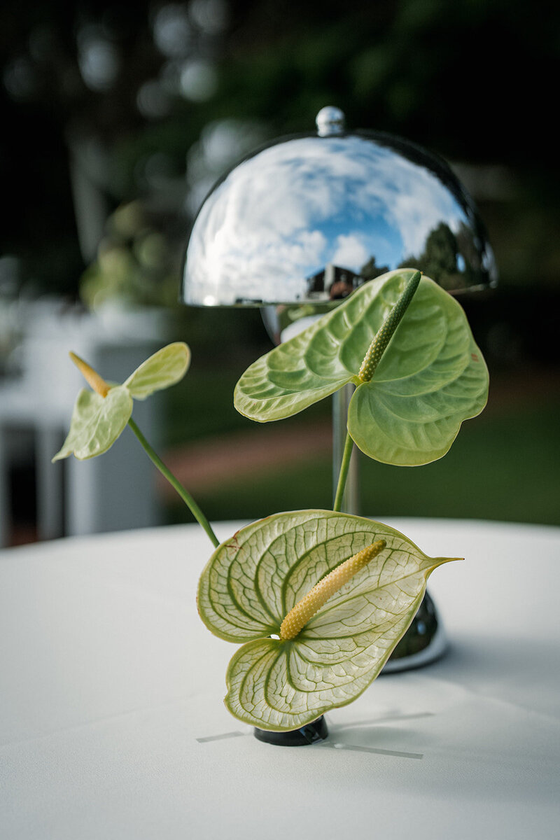 Our silver table lamp and beautiful green plant on a table